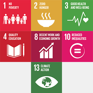 Palm Oil: a Sustainable Development Goal commodity