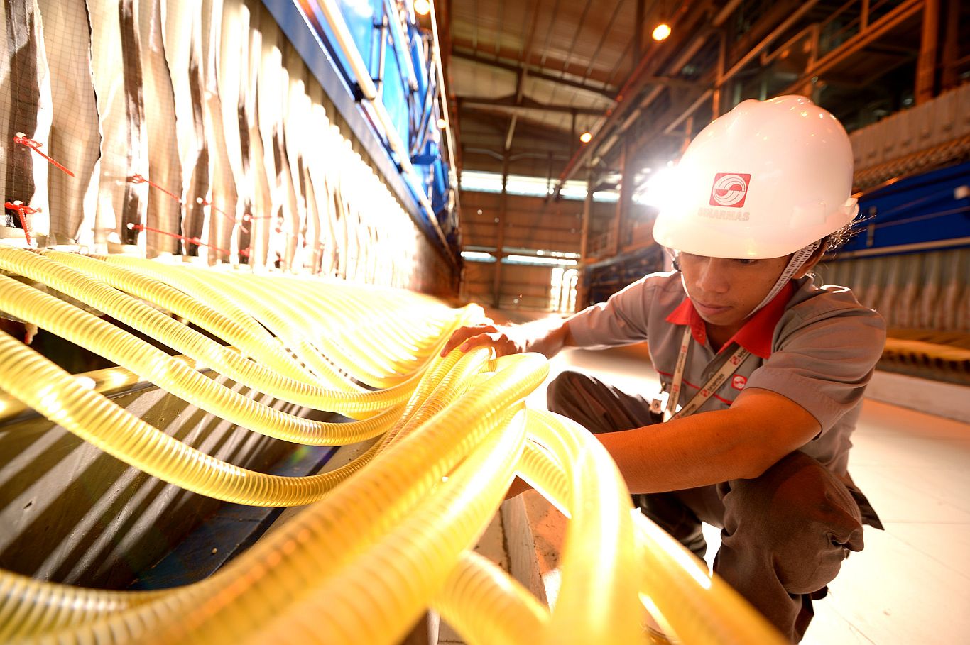 Integrated Operations and Downstream Sales Contribute to Resilient Financial Performance for GAR  in the First Quarter of 2024