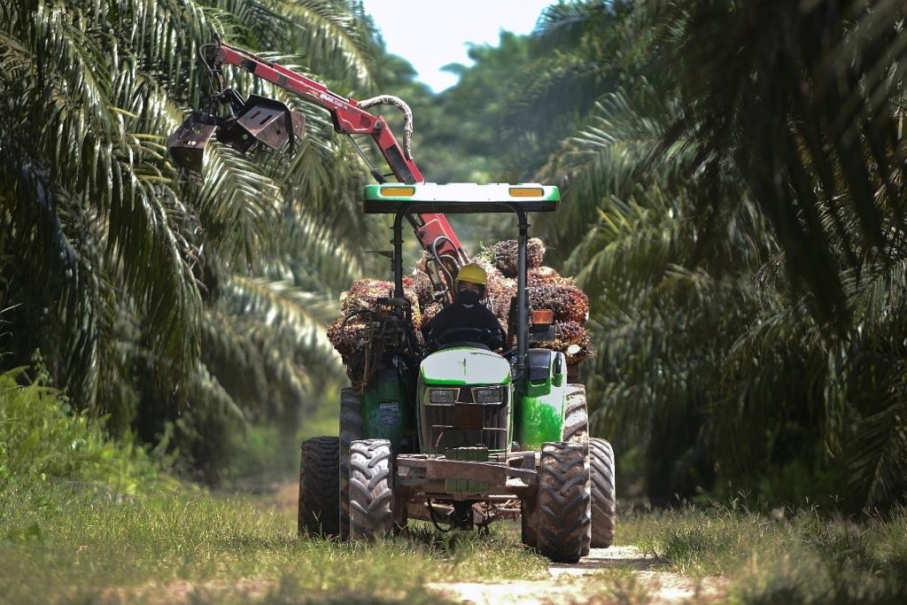 GAR Reaches Record High First-Half Revenue, Standing Firm Against Market Headwinds