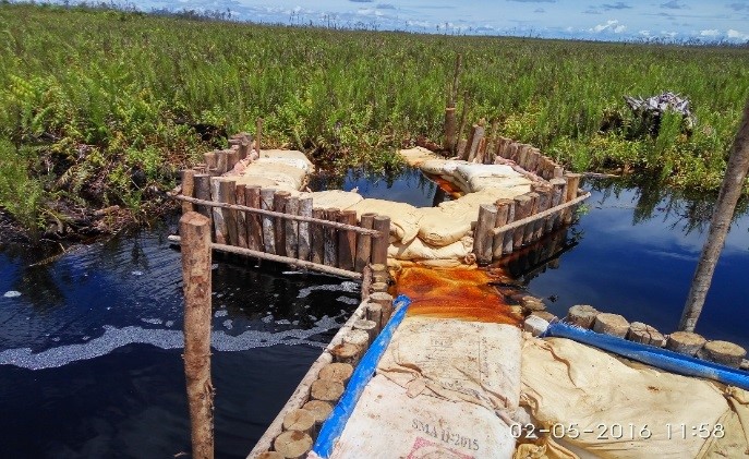 Interview: Partnerships with customers to address challenges in the palm oil industry
