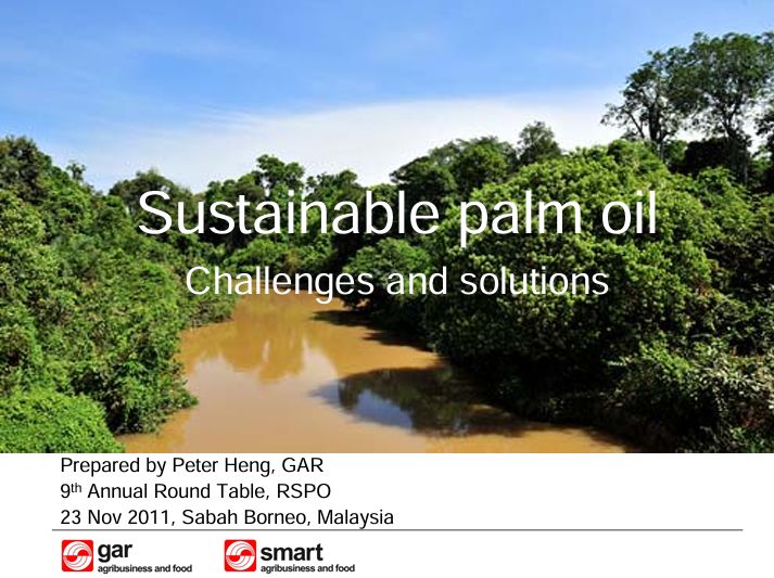 Presentation at 9th Annual Round Table, RSPO on 23 Nov 2011: Sustainable palm oil Challenges and solutions